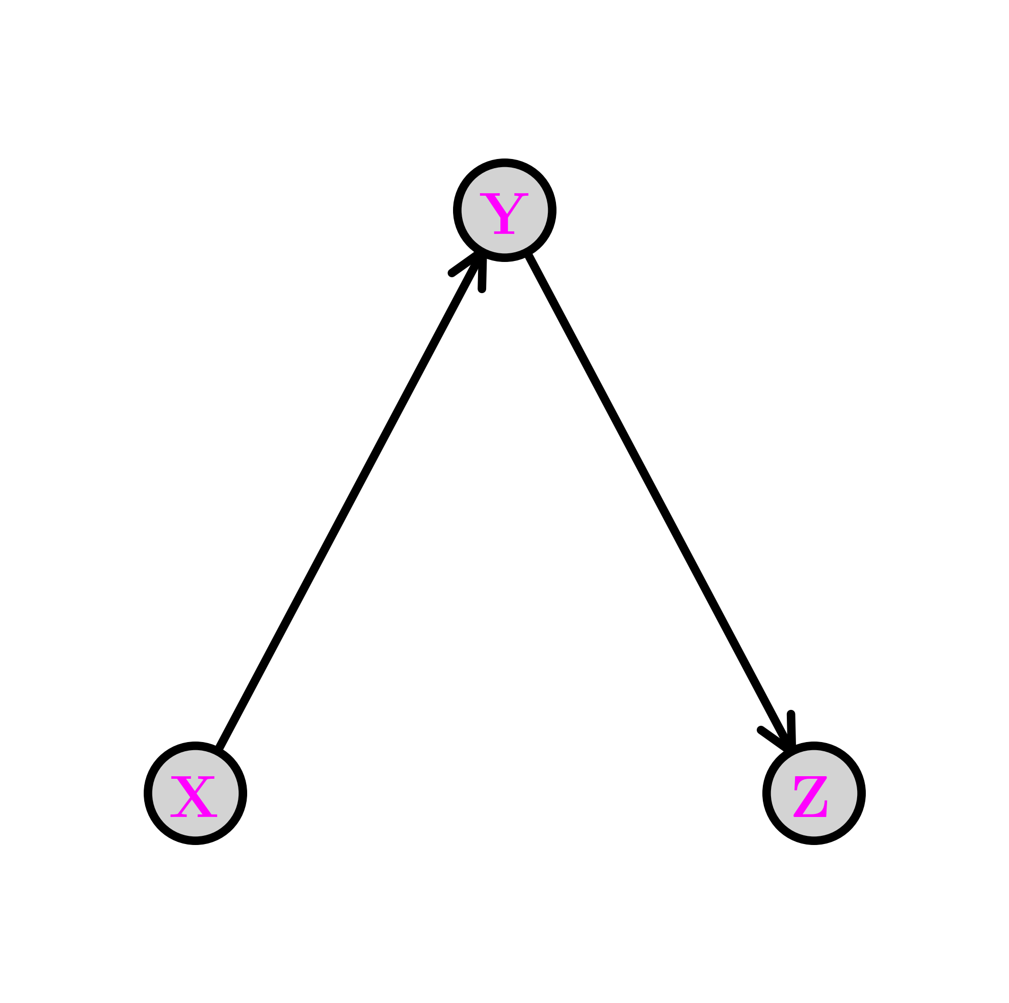The chain