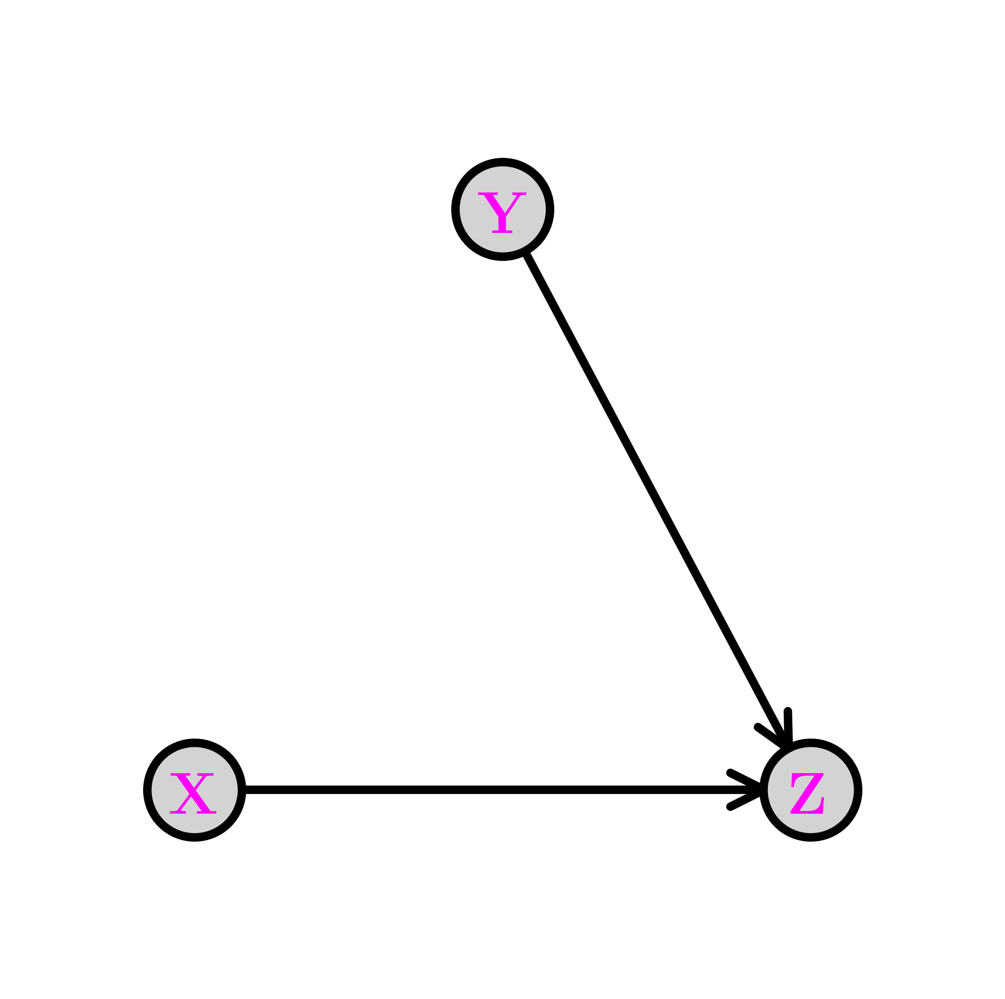 The collider